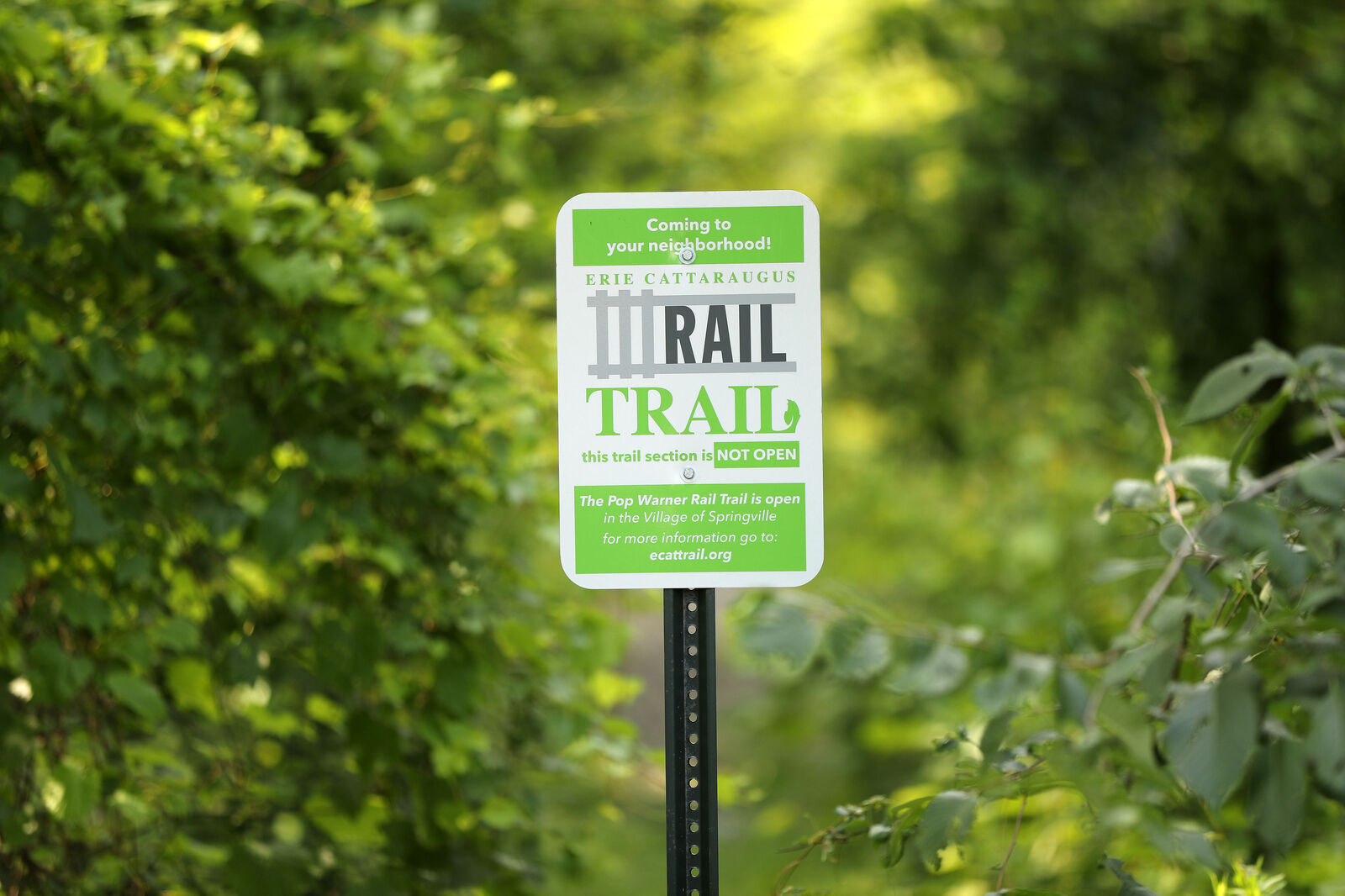 Scott Wohlhueter Rail Trail